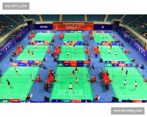 2017国际国羽赛事、2017年全国羽毛球锦标赛