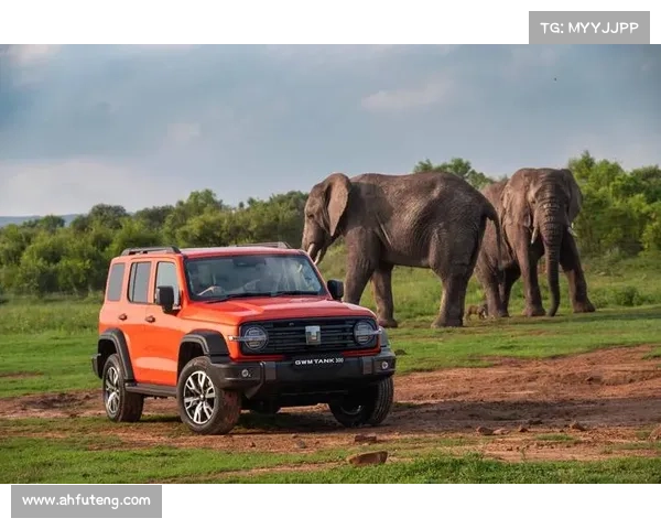 国内知名越野赛事—驰骋华夏巅峰征途中国顶级越野赛事激情对决