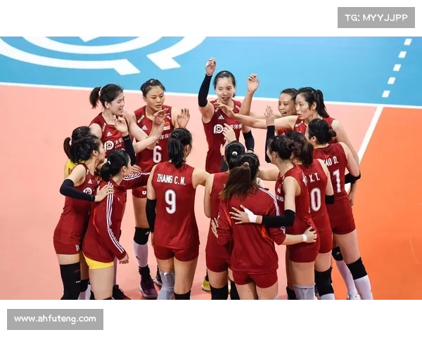 女排cctv直播