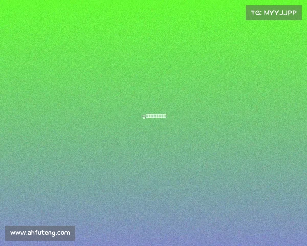 ig炉石分部有哪些人